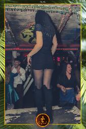 VIPERA - TROPICAL - 09/11/2021