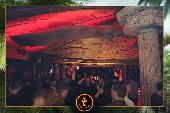 VIPERA - TROPICAL - 09/11/2021
