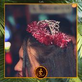 VIPERA - TROPICAL - 09/11/2021