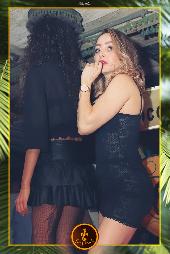 VIPERA - TROPICAL - 09/11/2021