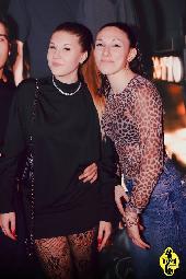 VIPERA - NOTTE ITALIANA - 10/01/2026