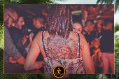 VIPERA - TROPICAL - 10/09/2019