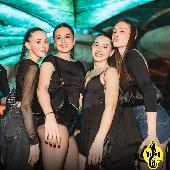 VIPERA - NOTTE ITALIANA - 11/04/2026