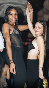 VIPERA - CULT TUESDAY - 11/11/2025