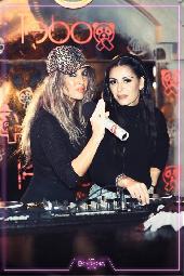 VIPERA - CULT TUESDAY - 11/11/2025