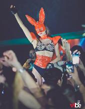 VIBE - FABULA - 11/12/2021