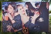 VIPERA - TROPICAL - 12/02/2019