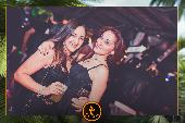 VIPERA - TROPICAL - 12/03/2019