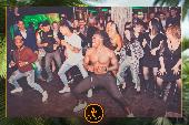 VIPERA - TROPICAL - 12/03/2019