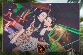 VIPERA - TROPICAL - 12/03/2019