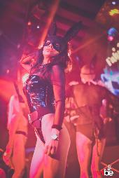 VIBE - FABULA - 13/11/2021