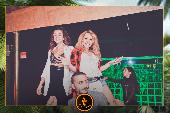 VIPERA - TROPICAL - 14/05/2019