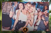 VIPERA - TROPICAL - 14/05/2019