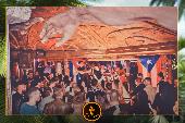 VIPERA - TROPICAL - 14/05/2019