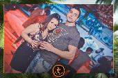 VIPERA - TROPICAL - 15/01/2019