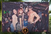 VIPERA - TROPICAL - 15/01/2019