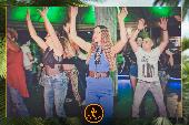 VIPERA - TROPICAL - 15/01/2019