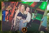 VIPERA - TROPICAL - 15/01/2019