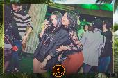 VIPERA - TROPICAL - 15/01/2019