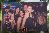 VIPERA - TROPICAL - 15/01/2019