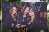 VIPERA - TROPICAL - 15/01/2019