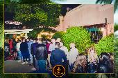 VIPERA - TROPICAL - 16/04/2019