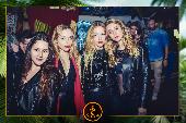 VIPERA - TROPICAL - 16/04/2019