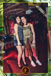 VIPERA - TROPICAL - 16/04/2019