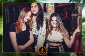 VIPERA - TROPICAL - 16/04/2019