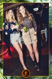 VIPERA - TROPICAL - 16/04/2019