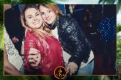 VIPERA - TROPICAL - 16/04/2019