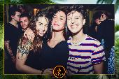 VIPERA - TROPICAL - 16/04/2019