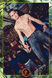 VIPERA - TROPICAL - 16/04/2019
