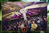 VIPERA - TROPICAL - 16/04/2019