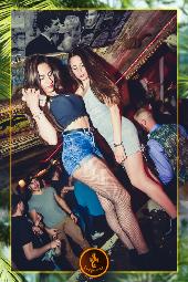 VIPERA - TROPICAL - 16/04/2019