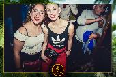 VIPERA - TROPICAL - 16/04/2019