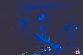 VIBE - FABULA - 16/10/2021
