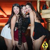 VIPERA - NOTTE ITALIANA - 17/01/2026