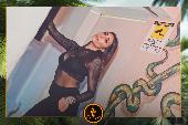 VIPERA - 17/12/2019