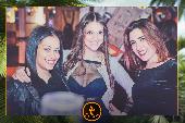 VIPERA - TROPICAL - 19/02/2019