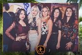 VIPERA - TROPICAL - 19/02/2019