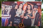 VIPERA - TROPICAL - 19/02/2019