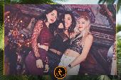 VIPERA - TROPICAL - 19/02/2019