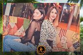 VIPERA - TROPICAL - 19/02/2019