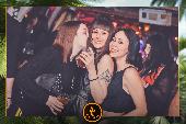 VIPERA - TROPICAL - 19/02/2019