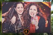 VIPERA - TROPICAL - 19/02/2019
