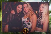 VIPERA - TROPICAL - 19/02/2019