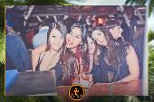 VIPERA - TROPICAL - 19/03/2019
