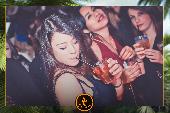 VIPERA - TROPICAL - 19/03/2019
