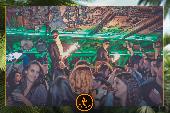 VIPERA - TROPICAL - 19/03/2019